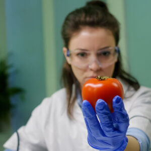Pack hygiène alimentaire et rédaction du PMS